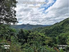 DENR ramps up Marikina watershed rehab with 3M-tree goal