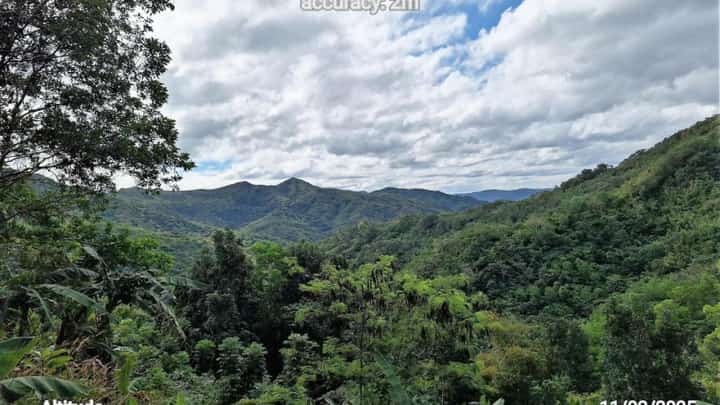 DENR ramps up Marikina watershed rehab with 3M-tree goal