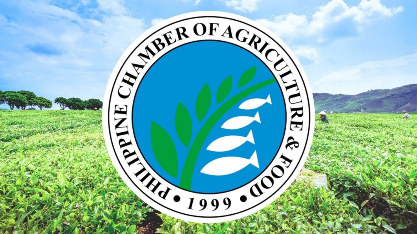PCAFI pushes P100M port overhaul to unclog island supply chain