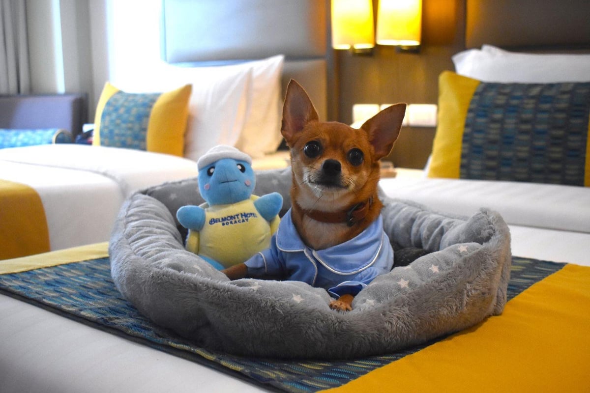 ‘PAWS and Relax’ at Belmont Hotel Boracay.