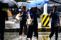Normal, above normal rains In June
