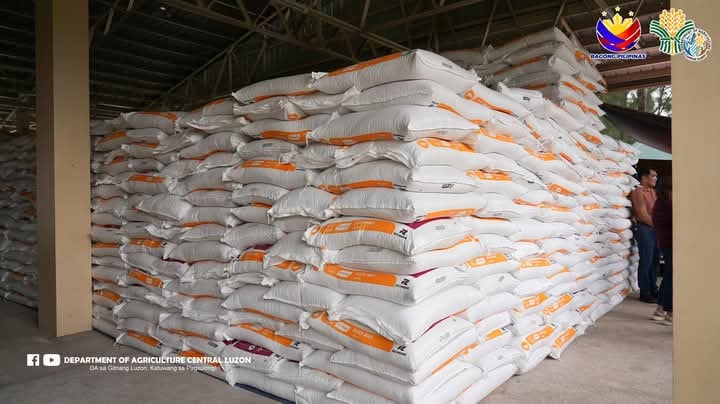 DA distributes P24.5M worth of duck feed to Pampanga farmers
