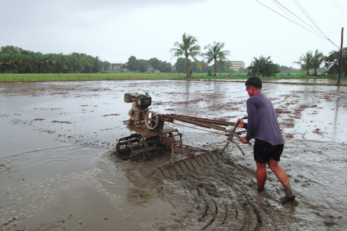 A young farmer uses a kuliglig to till the muddy farmland to prepare for the next crop of rice seedlings that will be planted in Morong, Bataan on Sunday morning.