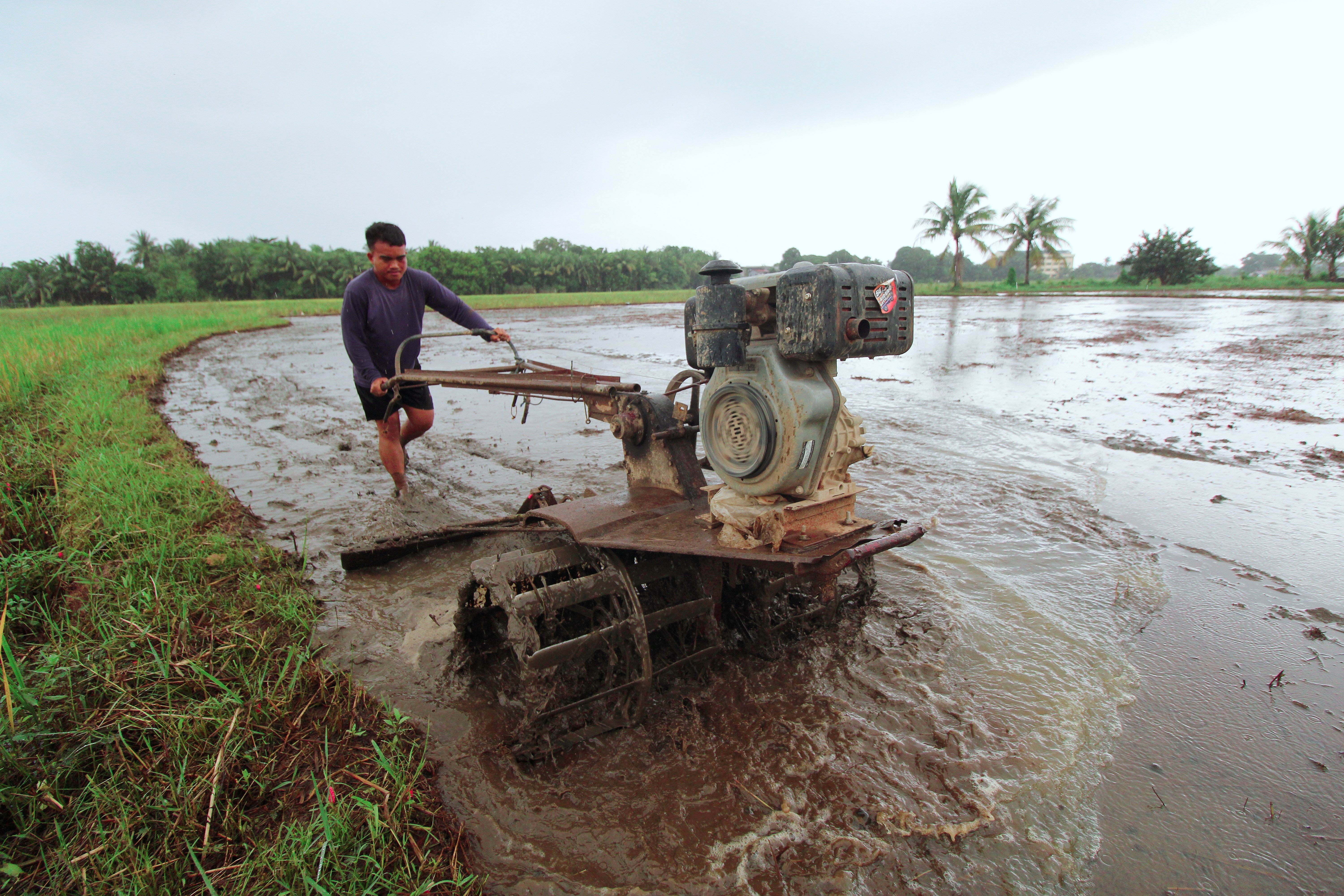 Modernize farming to sustain upper-income status