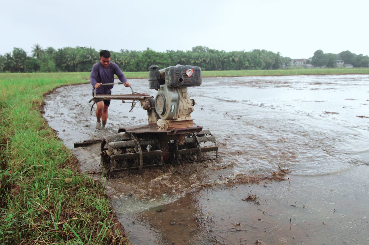 A young farmer uses a kuliglig to till the muddy farmland to prepare for the next crop of rice seedlings that will be planted in Morong, Bataan on Sunday morning.