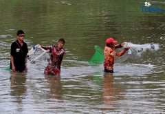 Tilapia fishing sustains daily life in Santa Maria, Bulacan