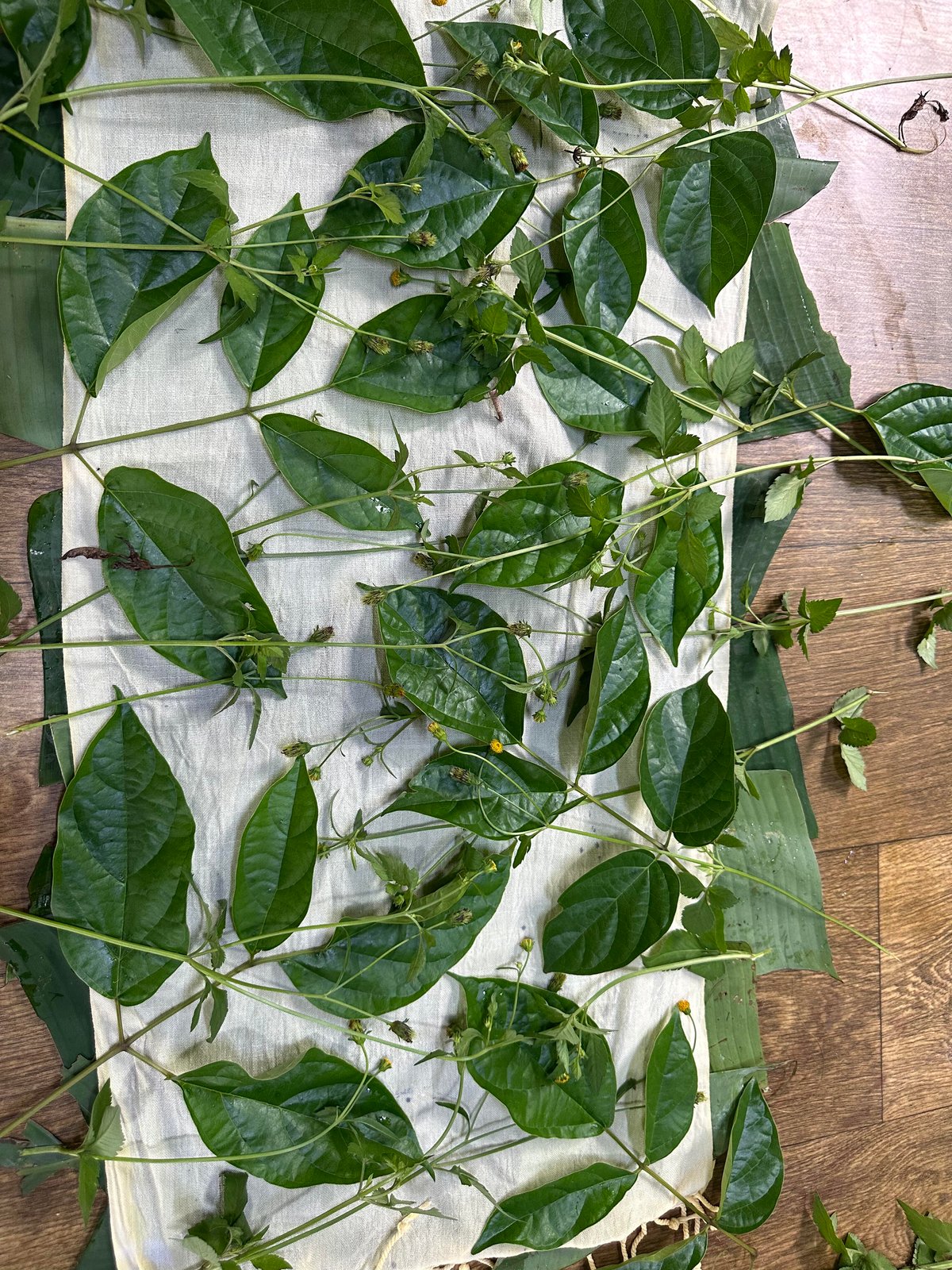DON’T forget your greens.