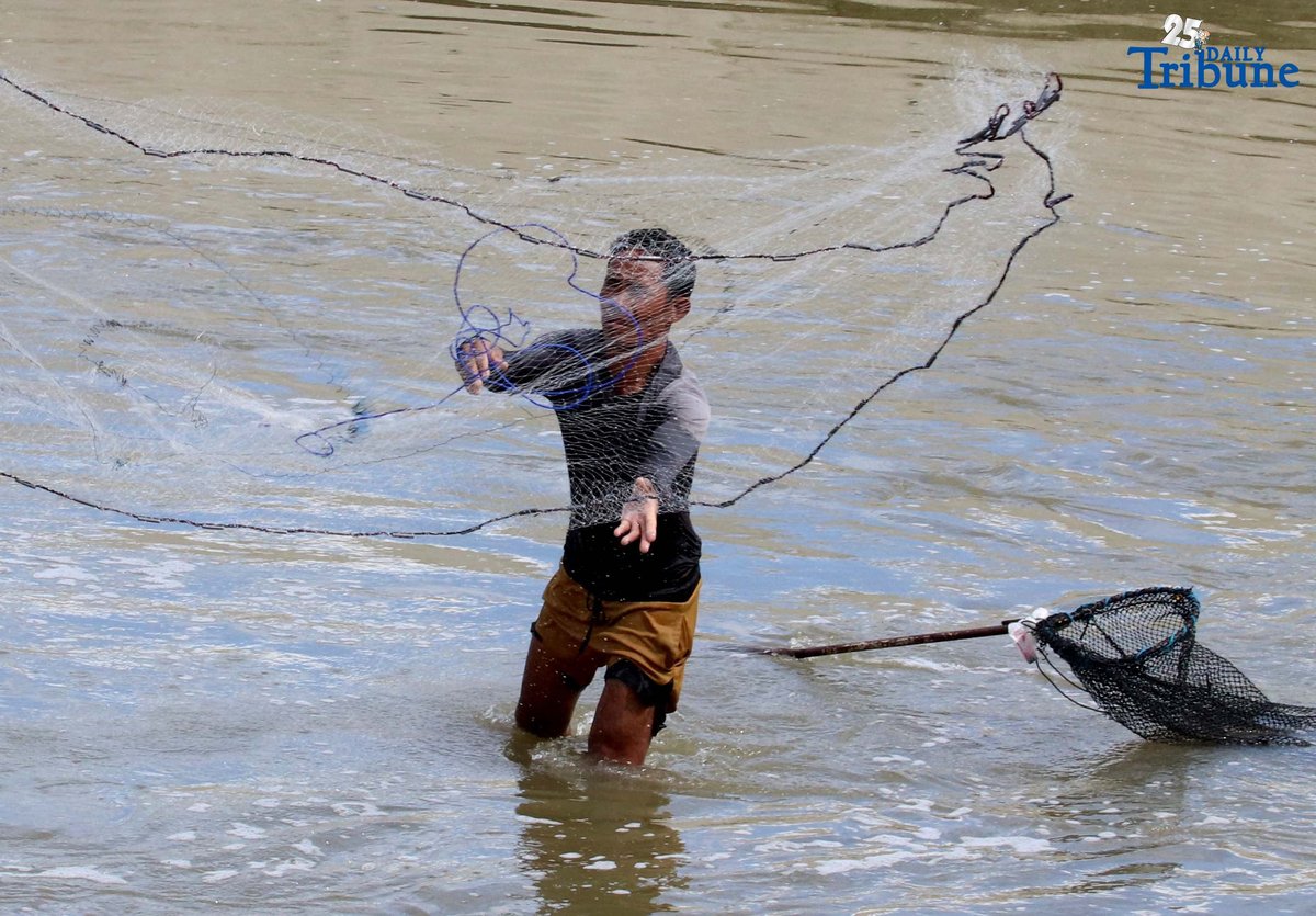 Fishers in Santa Maria, Bulacan cast traditional nets into the Macaiban Floodway to catch freshwater tilapia—sustaining both their livelihood and daily food supply.