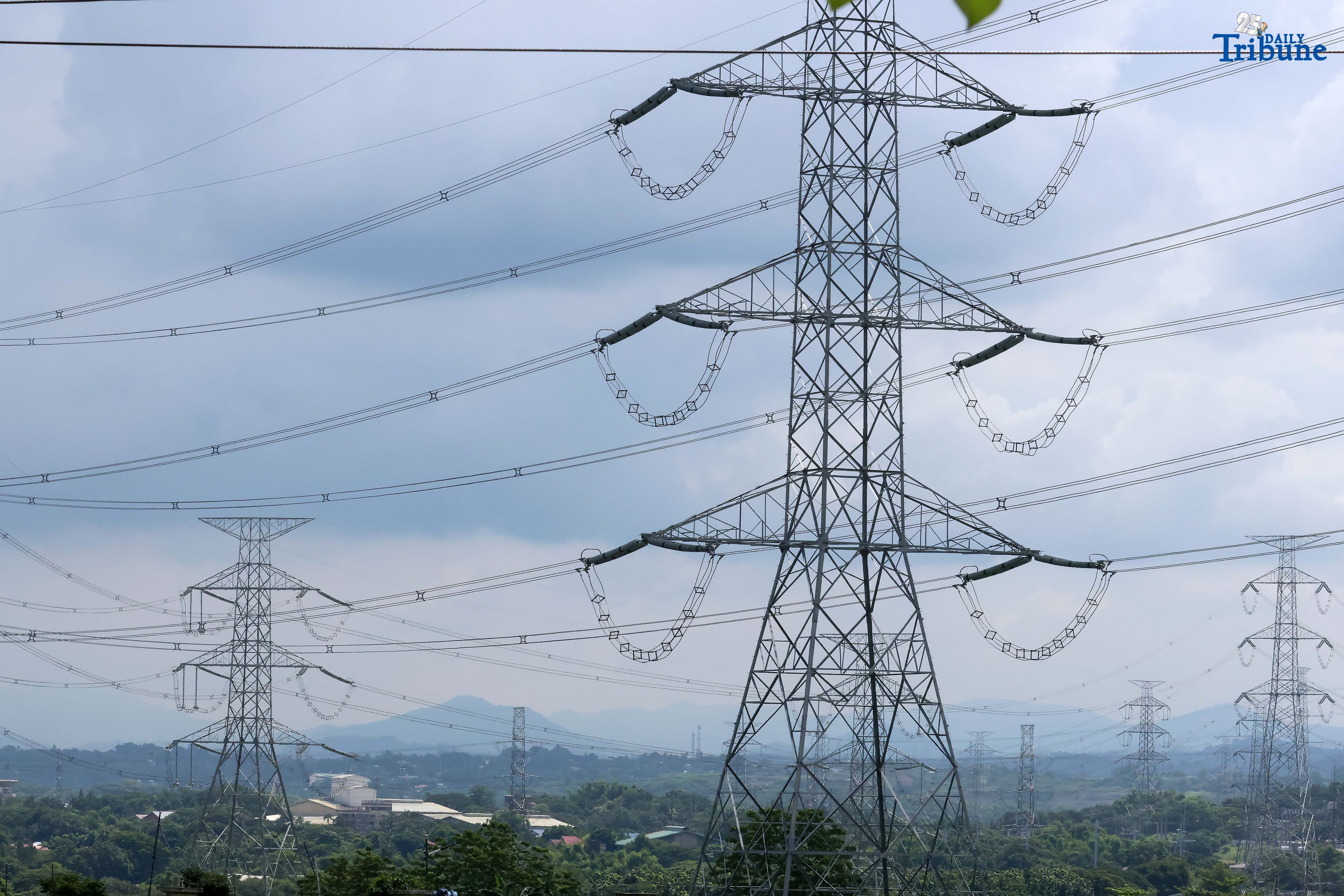 ERC urged: Gradual power hikes needed to avoid price shock