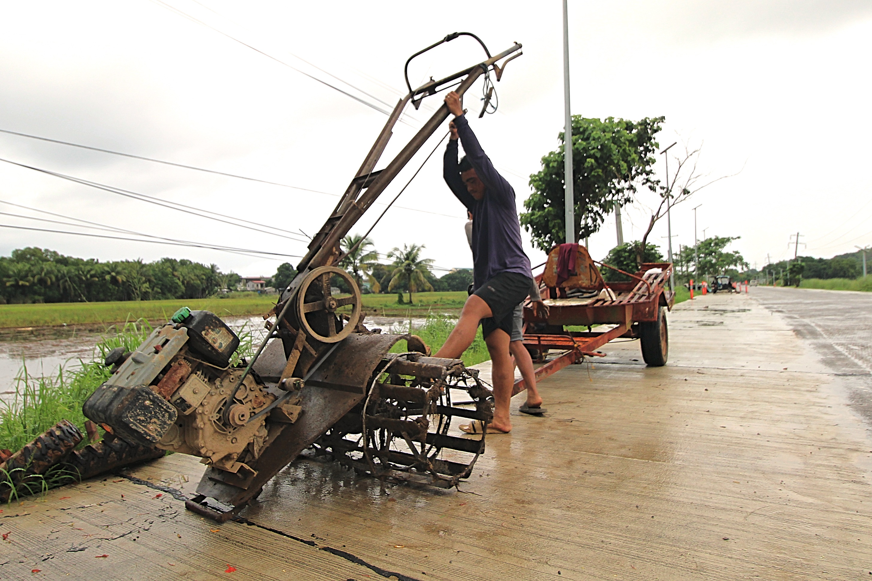 P46-M farm harvests feed PDL, fuel tillers