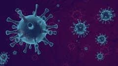 Schools urged vigilance vs HFMD