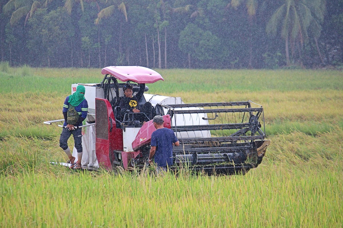 A combine harvester is parked at a rice field during a rainy day in Morong, Bataan. Combine harvesters are typically unable to operate effectively in the rain primarily due to issues with grain and straw moisture, clogging, and soil conditions.