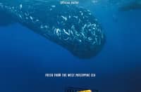 The Board granted the film a PG (Parental Guidance) rating, indicating that it may be viewed by children under 13 with adult supervision.