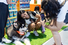 Furbabies soak up the love at Pet Express Dog & Cat Expo