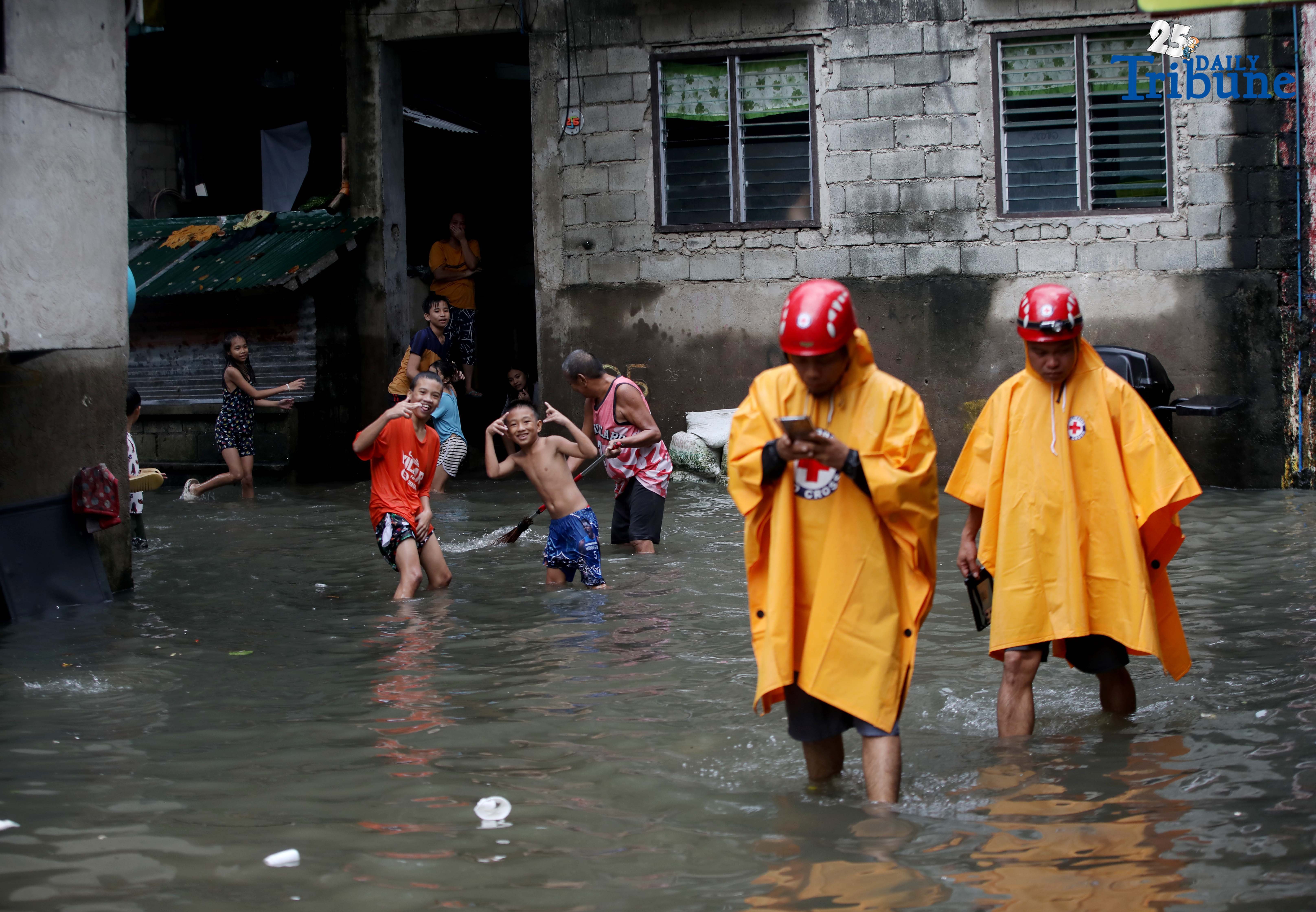 Crising, monsoon destroy P96.9M crops