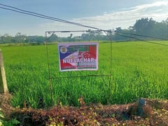 Nueva Ecija first LGU in SE Asia to earn carbon credits
