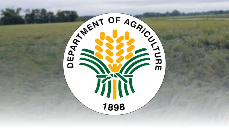 DA eyes millet to cut livestock feed costs