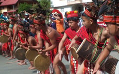 Benguet IPs sue over ancestral land violations