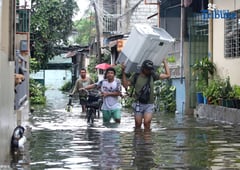 DOH: Leptospirosis cases plateauing