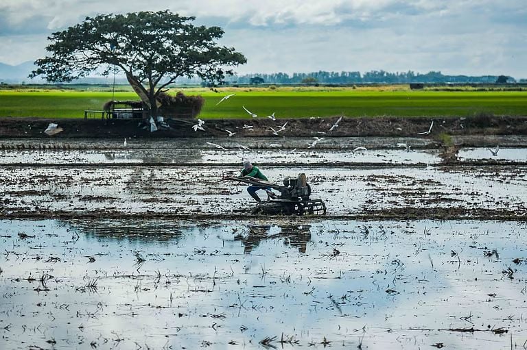 Crising’s agri toll reaches P134M