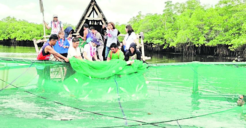Restoring livelihoods and enhancing resilience of Bohol farmers and fisherfolk affected by Typhoon ‘Odette.’