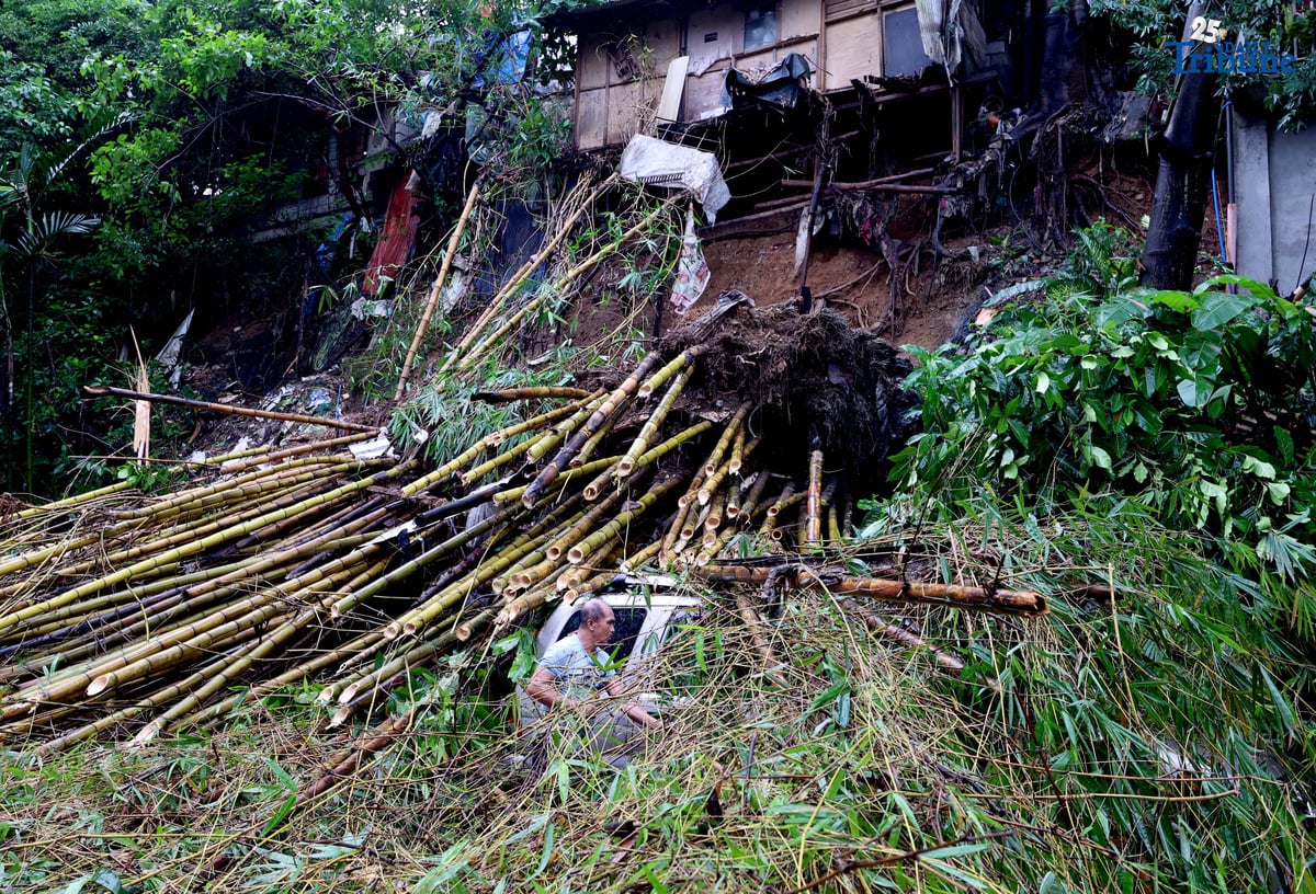 Rescuers from the Bureau of Fire Protection, Quezon City Police District, and the Quezon City local government remove toppled bamboo trunks that crushed two vehicles after a landslide along Don Vicente Street in Barangay Bagong Silangan, Quezon City, on Wednesday, July 23, 2025.