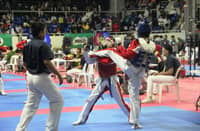 TAEKWONDO jins are expected to go all out for pride and glory when they compete in the 2025 SMART/MVPSF National Championship this weekend at the Ninoy Aquino Stadium.
