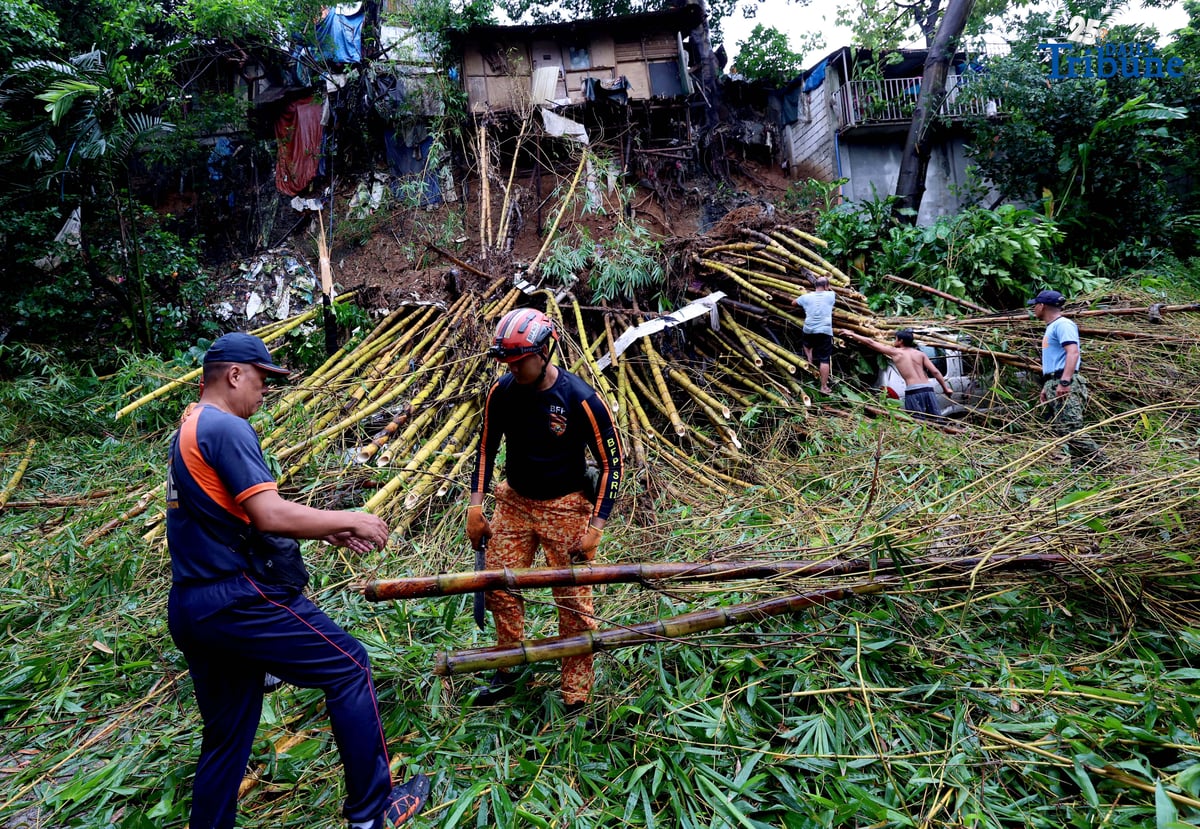 Rescuers from the Bureau of Fire Protection, Quezon City Police District, and the Quezon City local government remove toppled bamboo trunks that crushed two vehicles after a landslide along Don Vicente Street in Barangay Bagong Silangan, Quezon City, on Wednesday, July 23, 2025.