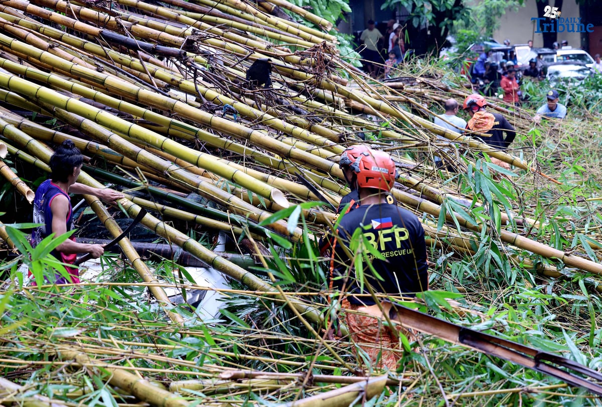Rescuers from the Bureau of Fire Protection, Quezon City Police District, and the Quezon City local government remove toppled bamboo trunks that crushed two vehicles after a landslide along Don Vicente Street in Barangay Bagong Silangan, Quezon City, on Wednesday, July 23, 2025.