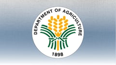 DA opens 45-Day youth internship slots
