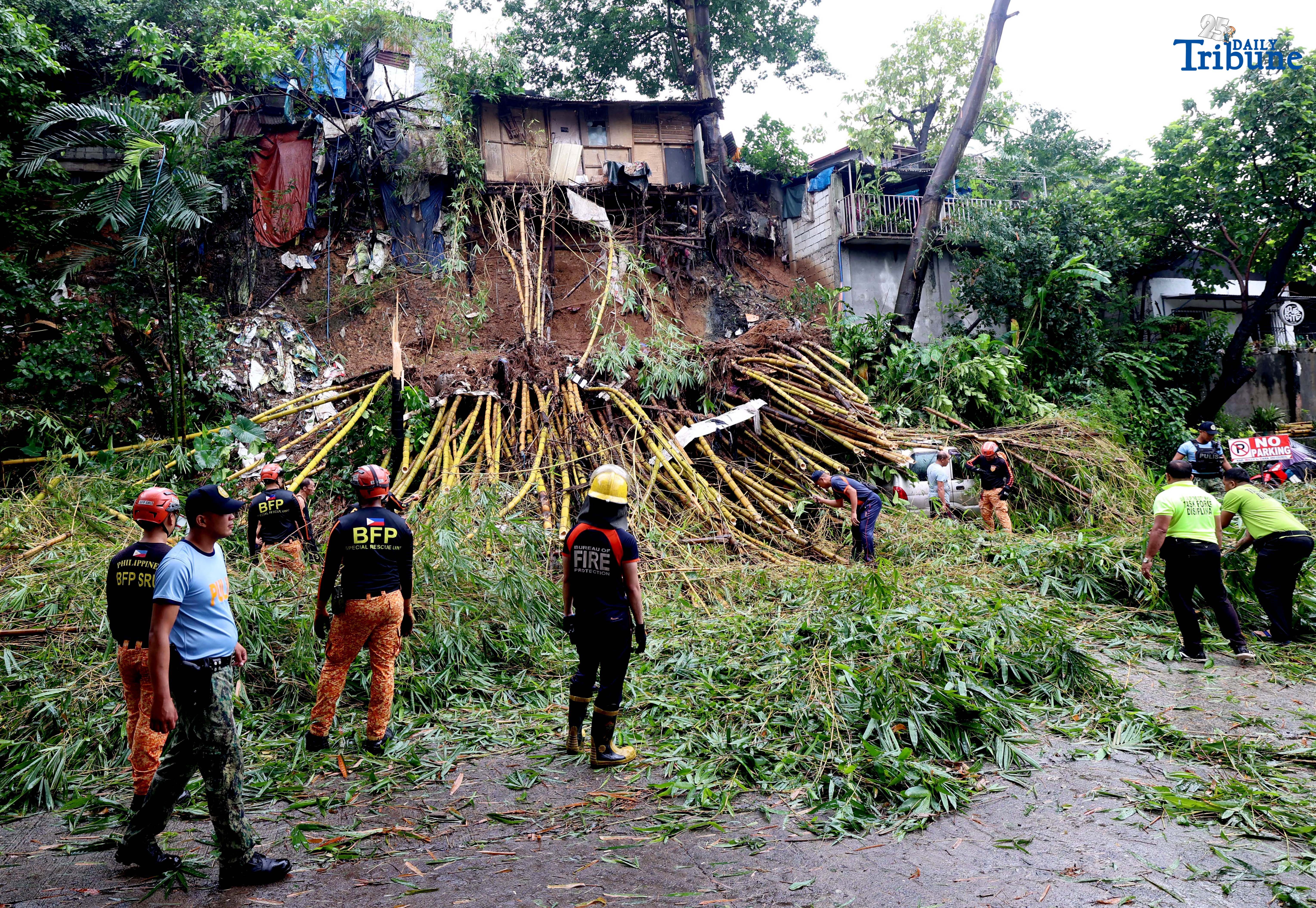 Landslide topples bamboo, crushes cars in QC