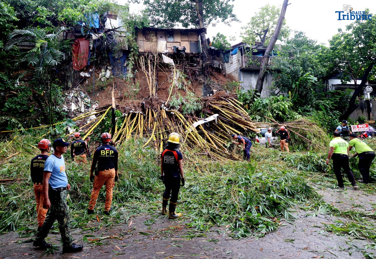 Landslide topples bamboo, crushes cars in QC