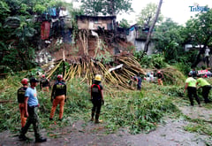 Landslide topples bamboo, crushes cars in QC