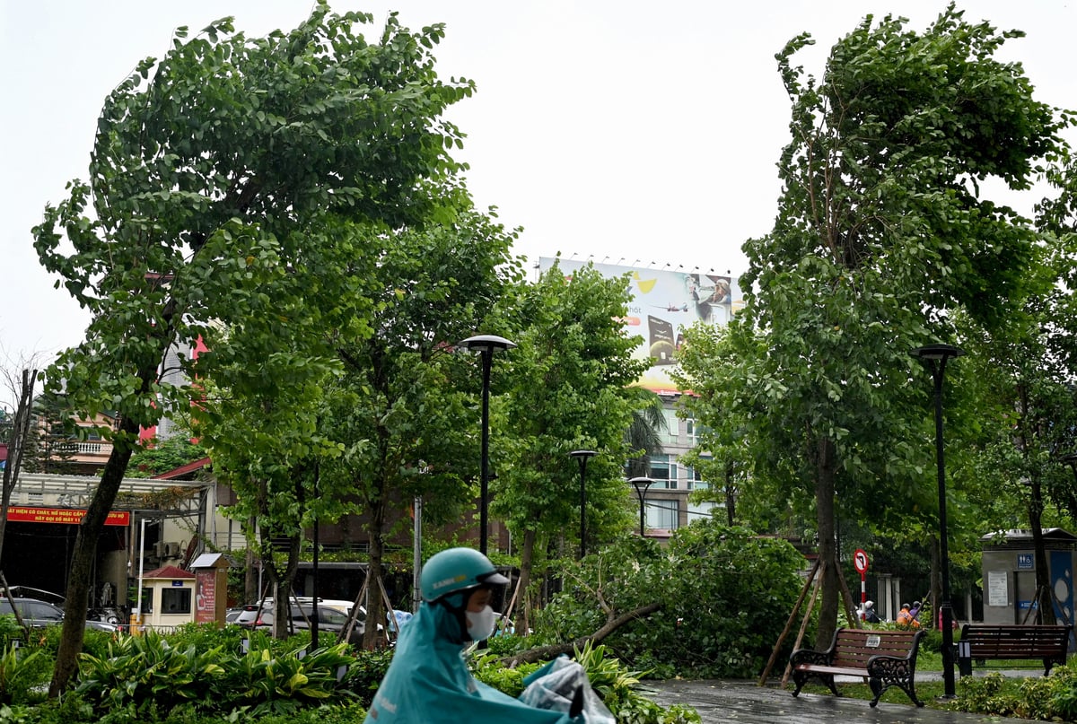 Storm ‘Wipha’ kills 3 in Vietnam