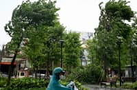 A man wearing a raincoat rides an electric motorbike past a tree that fell due to strong winds in Hanoi on July 22, 2025.