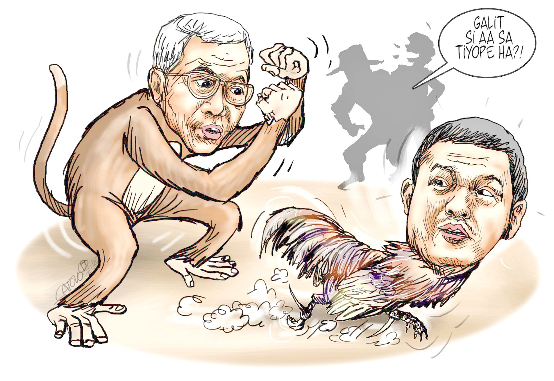 Torre raring to box, but is Baste chickening out?