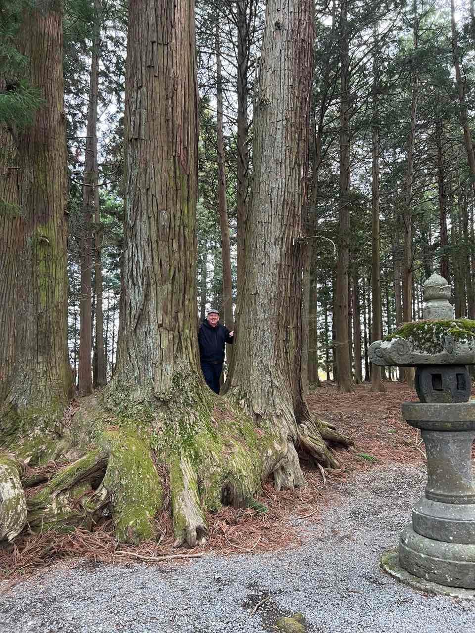 The author amongst the trees.