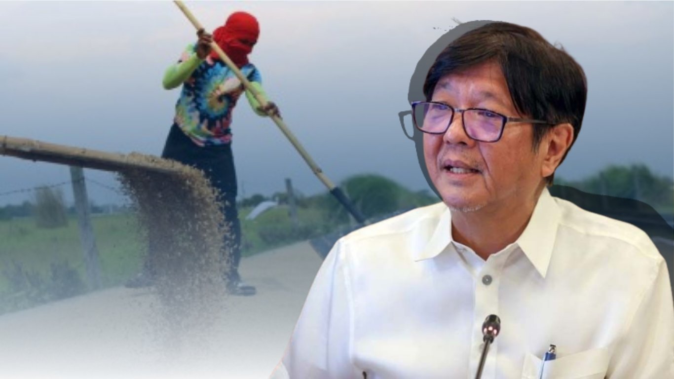 Address falling palay prices, Marcos urged