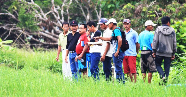 Eastern Visayas farmers go digital with AI know-how