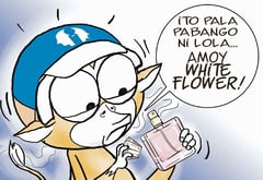 Old scent
