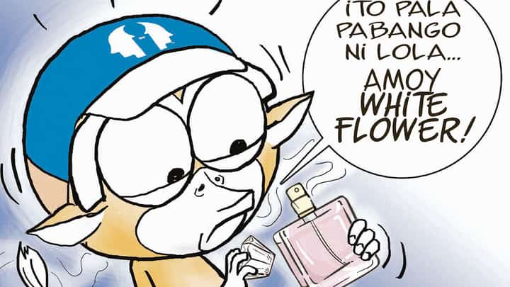 Old scent