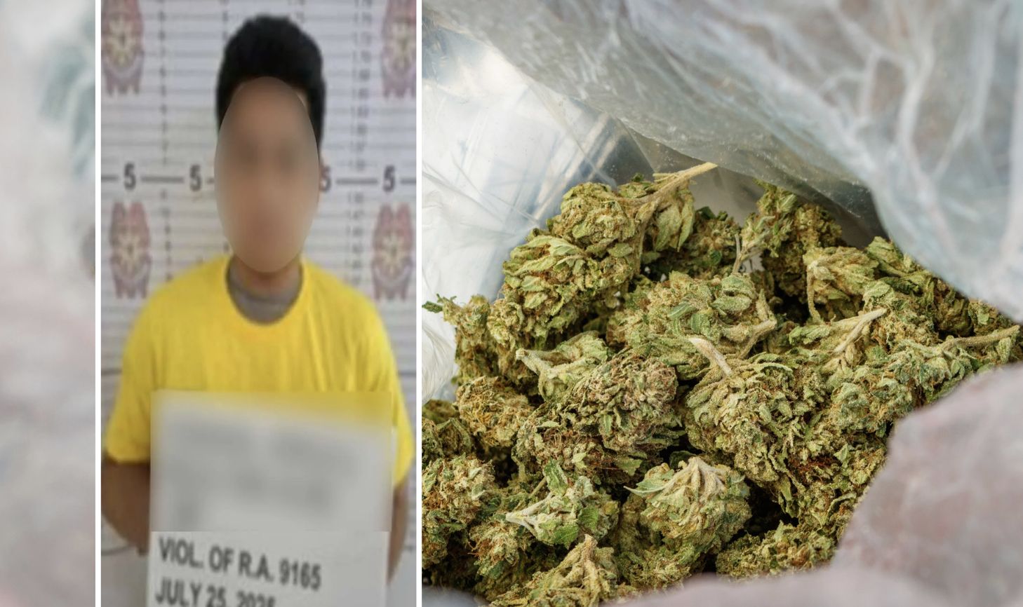 P750K worth of marijuana products seized in Mabalacat City