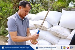 Provincial Government buys wet palay from Novo Ecijano farmers