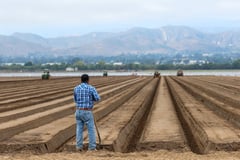 Immigration raids threaten U.S. food security