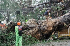 La Union eyes recovery amid ‘Emong’ onslaught