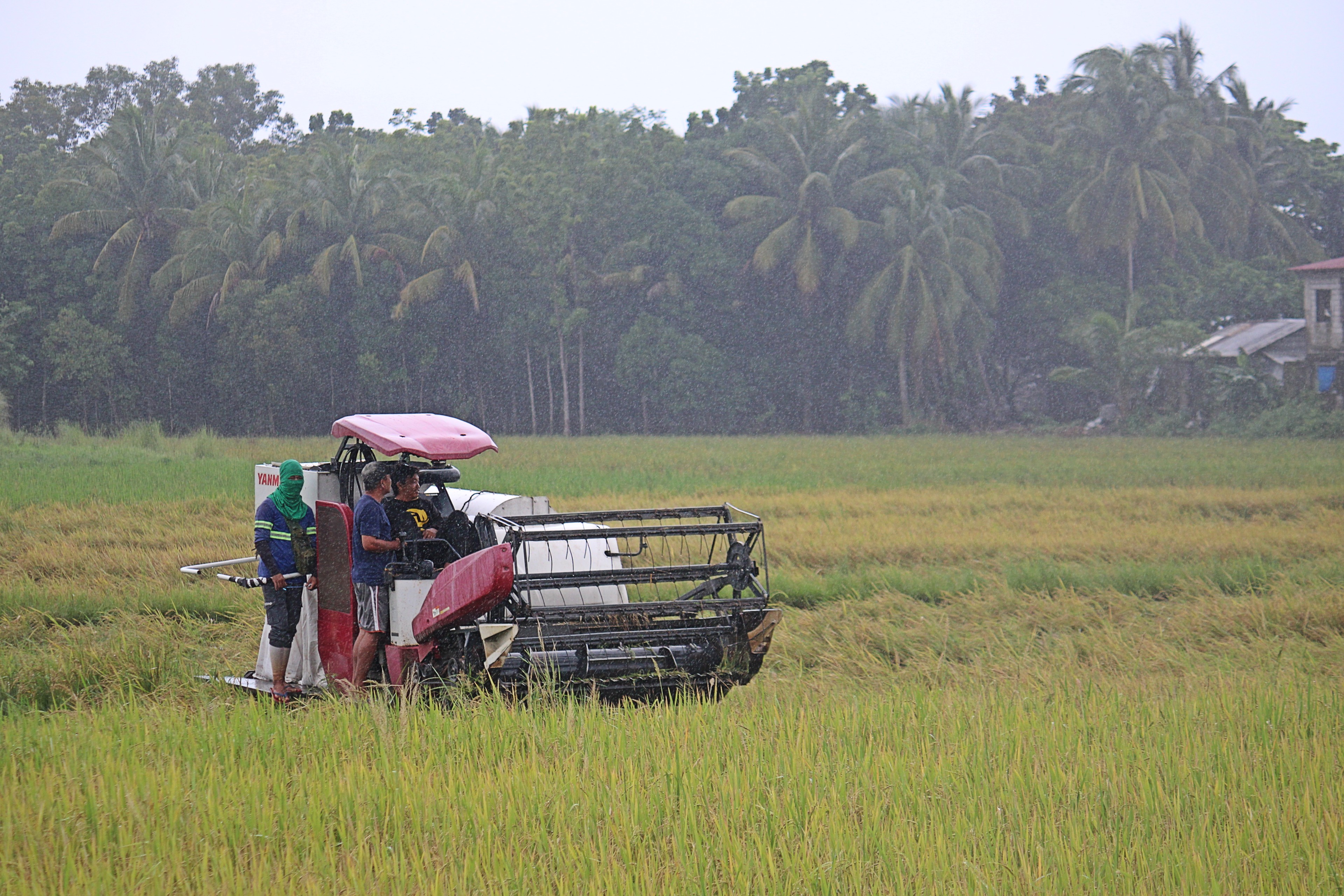 Farm damage from storms, monsoon tops P2B