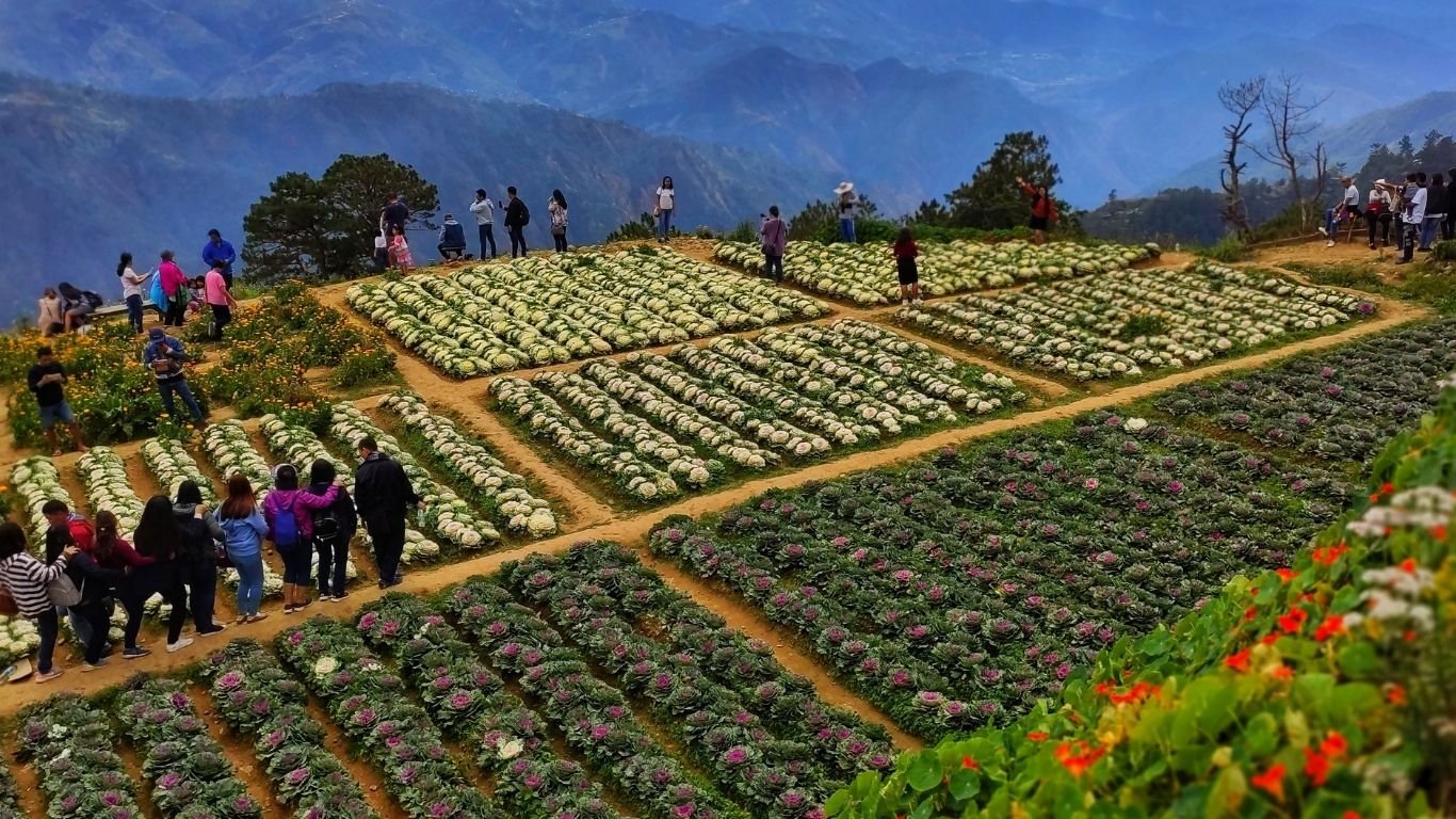 Highland vegetable traders want ‘practical solution’