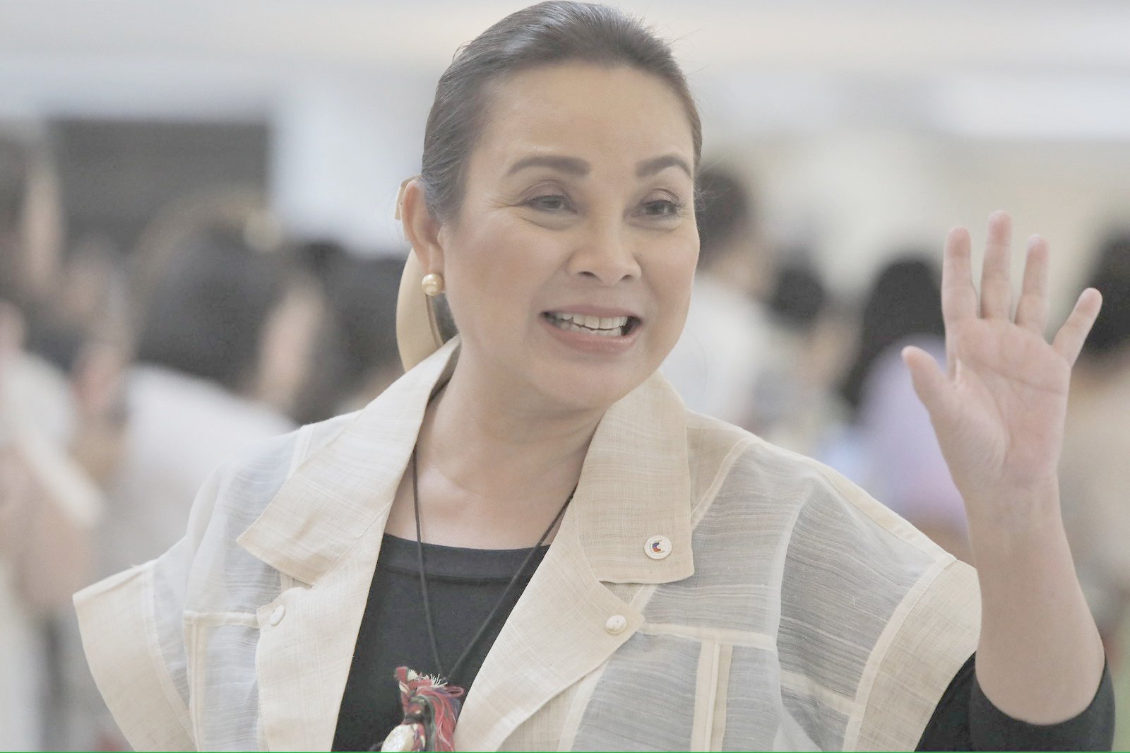 Legarda: VAT suspension bill now in Congress