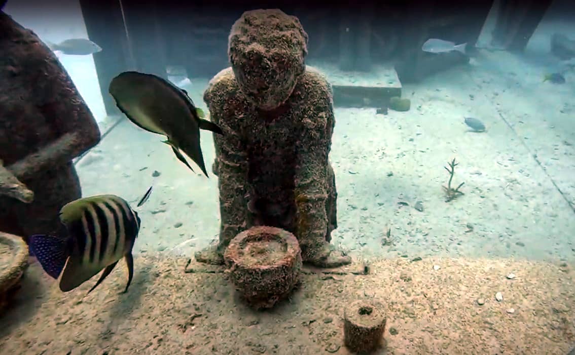Reef guardian at Great Barrier Reef.