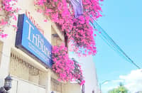Blossoms and bylines In the heart of Makati City, the DAILY TRIBUNE’s office blooms nearly year-round, where headlines rise with the petals.